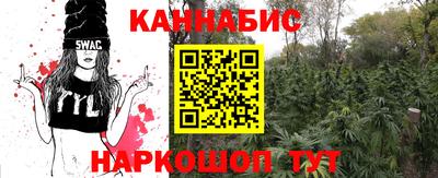 индика Севастополь