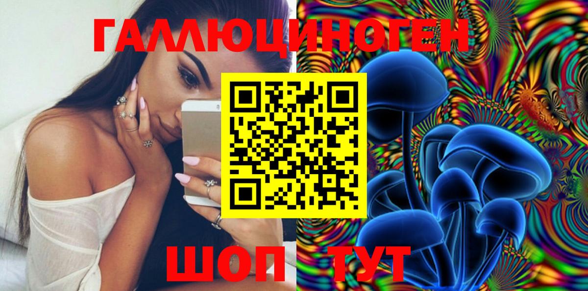 Галлюциногенные грибы Psilocybe Тамбов