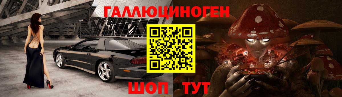 Тамбов  Галлюциногенные грибы MAGIC MUSHROOMS  Вход с VPN 